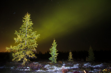 Similar image 10897844