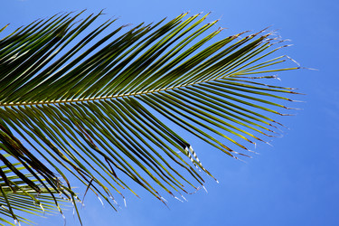 Similar image 10900372