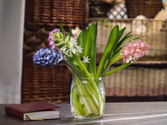 Similar image 10897499