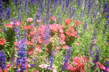 Similar image 10900665