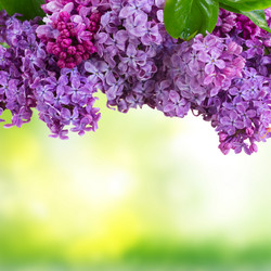 Similar image 10900667