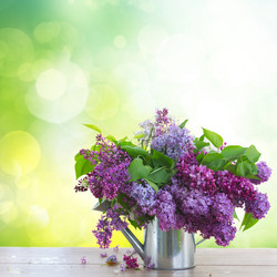 Similar image 10900641