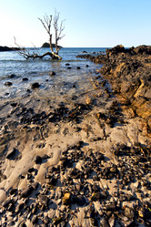 Similar image 10899528