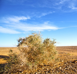 Similar image 10905240