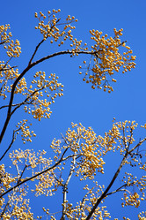 Similar image 10899547