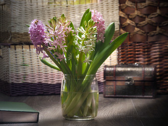 Similar image 10898533