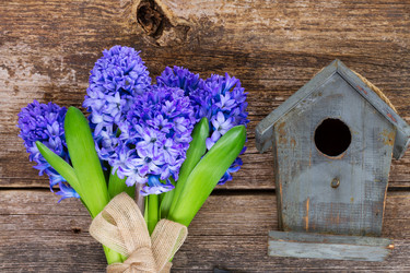 Similar image 10900677