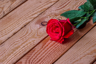 Similar image 10899186