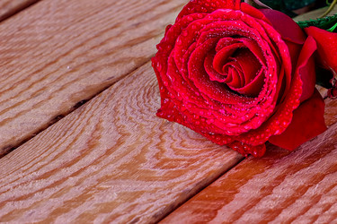 Similar image 10899205