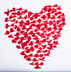 Similar image 10898291