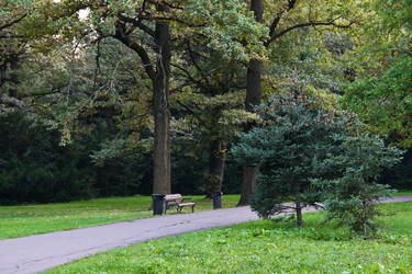 Similar image 10898343