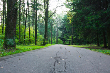 Similar image 10898344