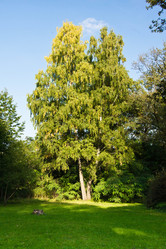 Similar image 10898346