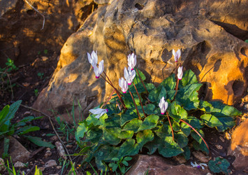 Similar image 10899131