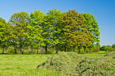 Similar image 10898353