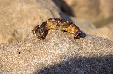 Similar image 10899157