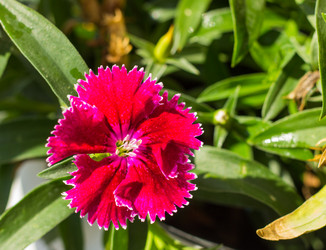 Similar image 10899158