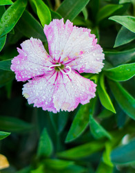 Similar image 10899159