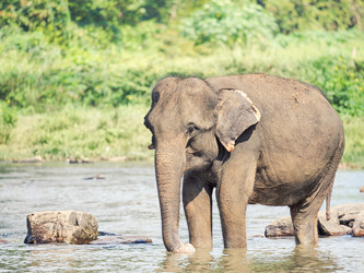 Similar image 10899407