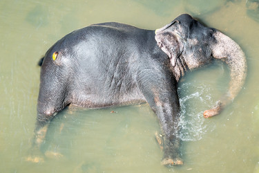 Similar image 10899409