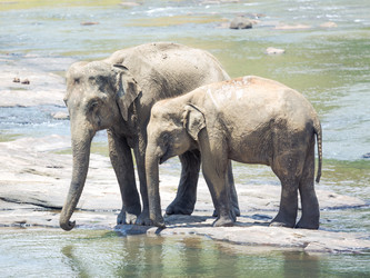 Similar image 10899410