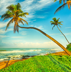 Similar image 10899127