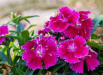 Similar image 10899160