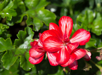 Similar image 10899162