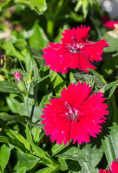 Similar image 10899163