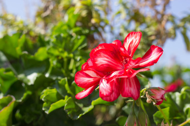 Similar image 10899165