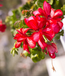 Similar image 10899166