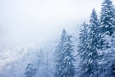 Similar image 10899141