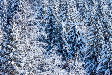 Similar image 10899144