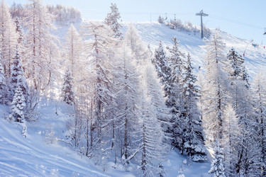 Similar image 10899145