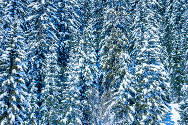 Similar image 10899148