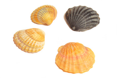 Similar image 10900065