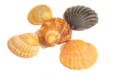 Similar image 10900066