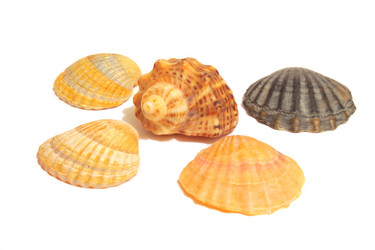 Similar image 10900067