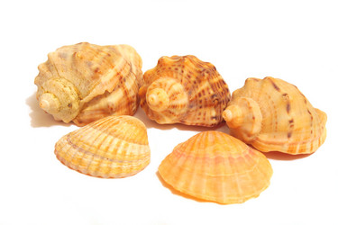 Similar image 10900068