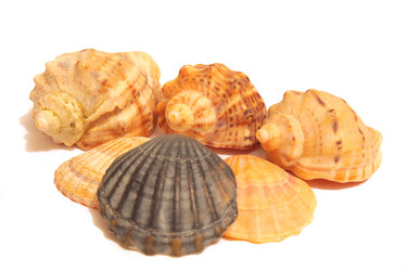 Similar image 10900069