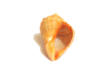 Similar image 10900070