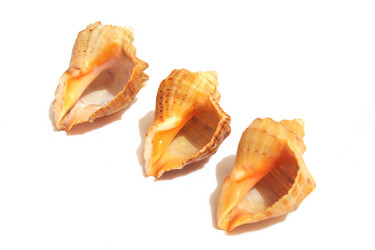 Similar image 10900071