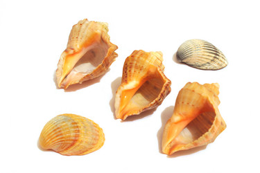 Similar image 10900072