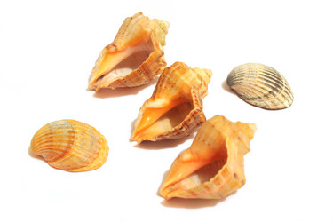 Similar image 10900073