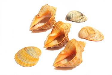 Similar image 10900113