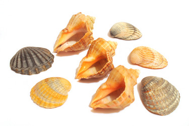 Similar image 10900115