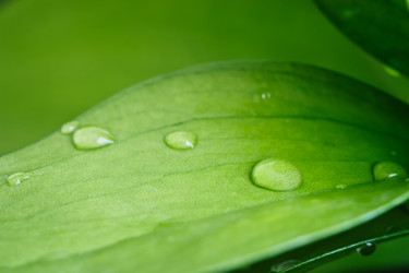 Similar image 10898295