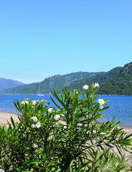 Similar image 10898299