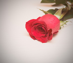 Similar image 10899233