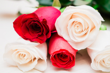 Similar image 10899252